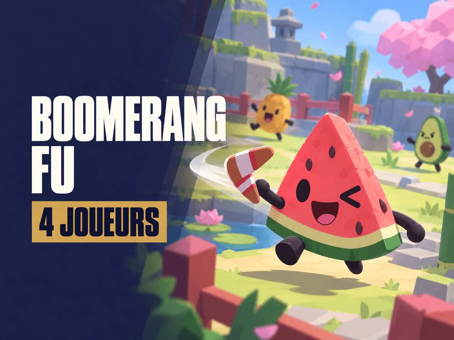 Boomerang Fu